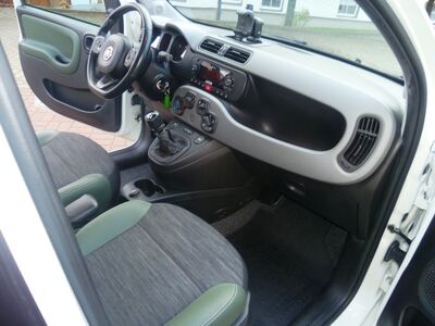 Fiat Panda Gebrauchtwagen