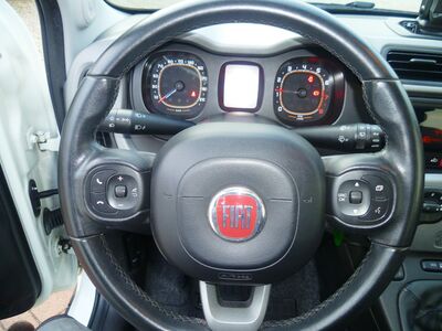 Fiat Panda Gebrauchtwagen