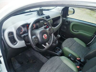 Fiat Panda Gebrauchtwagen Fiat Panda Gebrauchtwagen