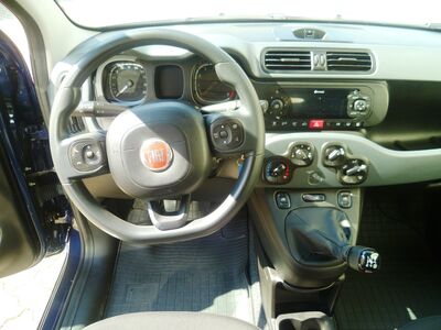 Fiat Panda Gebrauchtwagen Fiat Panda Gebrauchtwagen