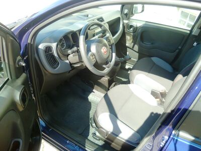 Fiat Panda Gebrauchtwagen Fiat Panda Gebrauchtwagen