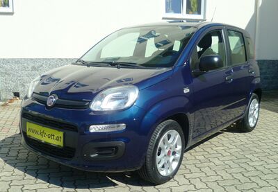Fiat Panda Gebrauchtwagen Fiat Panda Gebrauchtwagen