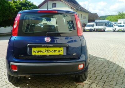 Fiat Panda Gebrauchtwagen Fiat Panda Gebrauchtwagen