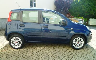 Fiat Panda Gebrauchtwagen Fiat Panda Gebrauchtwagen