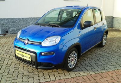 Fiat Panda Gebrauchtwagen Fiat Panda Gebrauchtwagen