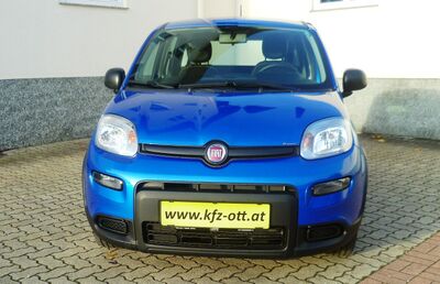 Fiat Panda Gebrauchtwagen Fiat Panda Gebrauchtwagen