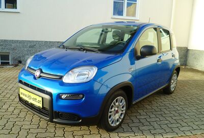 Fiat Panda Gebrauchtwagen Fiat Panda Gebrauchtwagen
