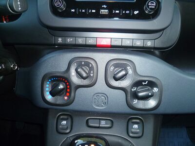 Fiat Panda Gebrauchtwagen Fiat Panda Gebrauchtwagen