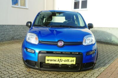 Fiat Panda Gebrauchtwagen Fiat Panda Gebrauchtwagen
