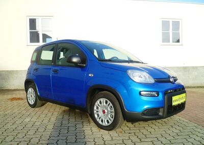 Fiat Panda Gebrauchtwagen Fiat Panda Gebrauchtwagen