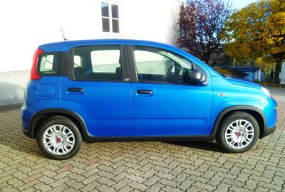 Fiat Panda Gebrauchtwagen Fiat Panda Gebrauchtwagen