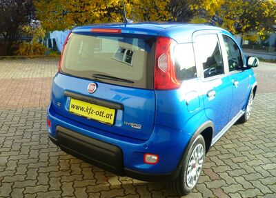 Fiat Panda Gebrauchtwagen Fiat Panda Gebrauchtwagen