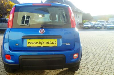 Fiat Panda Gebrauchtwagen Fiat Panda Gebrauchtwagen