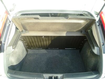 Fiat Punto Gebrauchtwagen