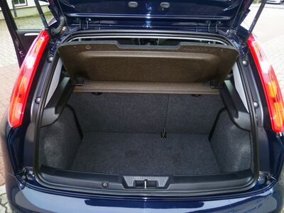 Fiat Punto Gebrauchtwagen