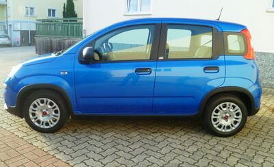 Fiat Panda Gebrauchtwagen