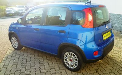 Fiat Panda Gebrauchtwagen