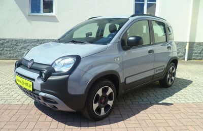 Fiat Panda Gebrauchtwagen
