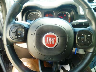 Fiat Panda Gebrauchtwagen Fiat Panda Gebrauchtwagen