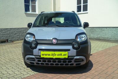 Fiat Panda Gebrauchtwagen Fiat Panda Gebrauchtwagen