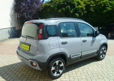 Fiat Panda Gebrauchtwagen Fiat Panda Gebrauchtwagen