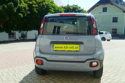 Fiat Panda Gebrauchtwagen Fiat Panda Gebrauchtwagen