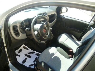 Fiat Panda Gebrauchtwagen Fiat Panda Gebrauchtwagen