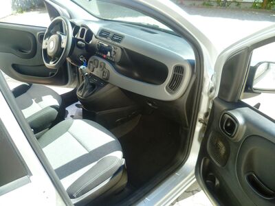 Fiat Panda Gebrauchtwagen Fiat Panda Gebrauchtwagen