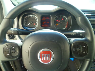 Fiat Panda Gebrauchtwagen Fiat Panda Gebrauchtwagen
