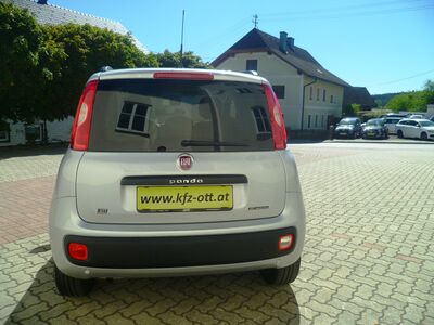 Fiat Panda Gebrauchtwagen Fiat Panda Gebrauchtwagen