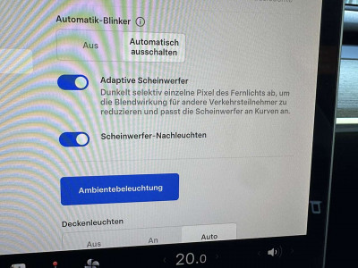 Tesla Model Y Gebrauchtwagen