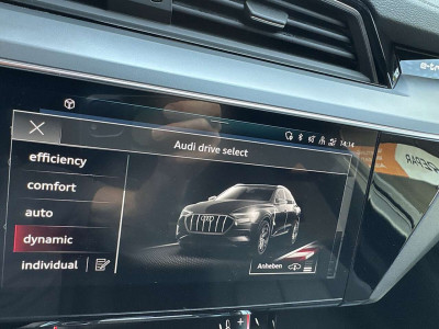 Audi e-tron Gebrauchtwagen