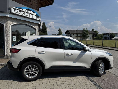 Ford Kuga Gebrauchtwagen Ford Kuga Gebrauchtwagen