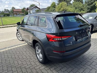 Skoda Kodiaq Gebrauchtwagen Skoda Kodiaq Gebrauchtwagen