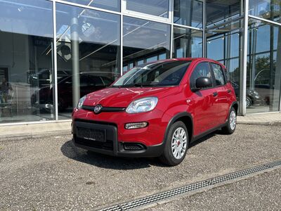 Fiat Panda Tageszulassung