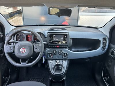 Fiat Panda Tageszulassung