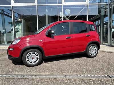 Fiat Panda Tageszulassung