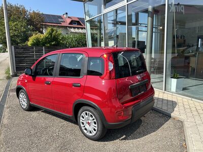 Fiat Panda Tageszulassung