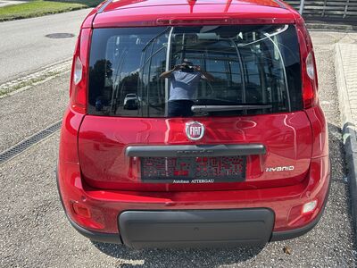 Fiat Panda Tageszulassung