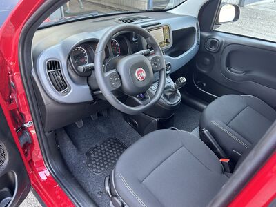 Fiat Panda Tageszulassung