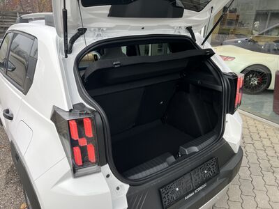 Fiat Grande Panda Gebrauchtwagen