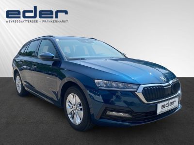 Skoda Octavia Gebrauchtwagen