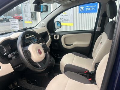 Fiat Panda Gebrauchtwagen Fiat Panda Gebrauchtwagen