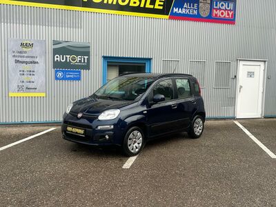 Fiat Panda Gebrauchtwagen Fiat Panda Gebrauchtwagen