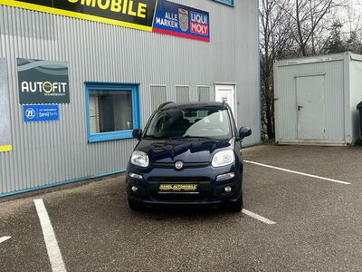 Fiat Panda Gebrauchtwagen Fiat Panda Gebrauchtwagen