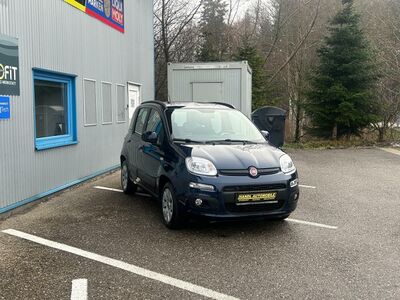 Fiat Panda Gebrauchtwagen Fiat Panda Gebrauchtwagen
