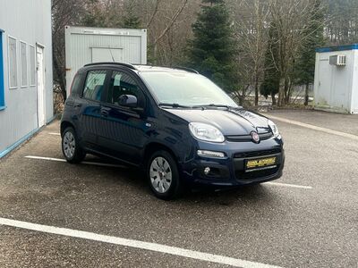 Fiat Panda Gebrauchtwagen Fiat Panda Gebrauchtwagen