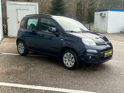 Fiat Panda Gebrauchtwagen Fiat Panda Gebrauchtwagen
