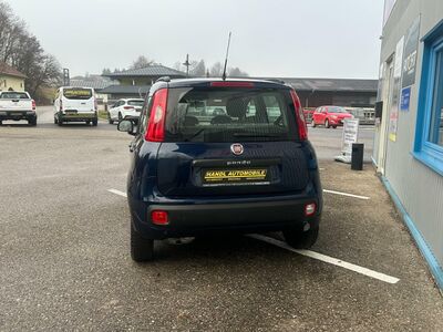 Fiat Panda Gebrauchtwagen Fiat Panda Gebrauchtwagen