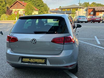 VW Golf Gebrauchtwagen VW Golf Gebrauchtwagen